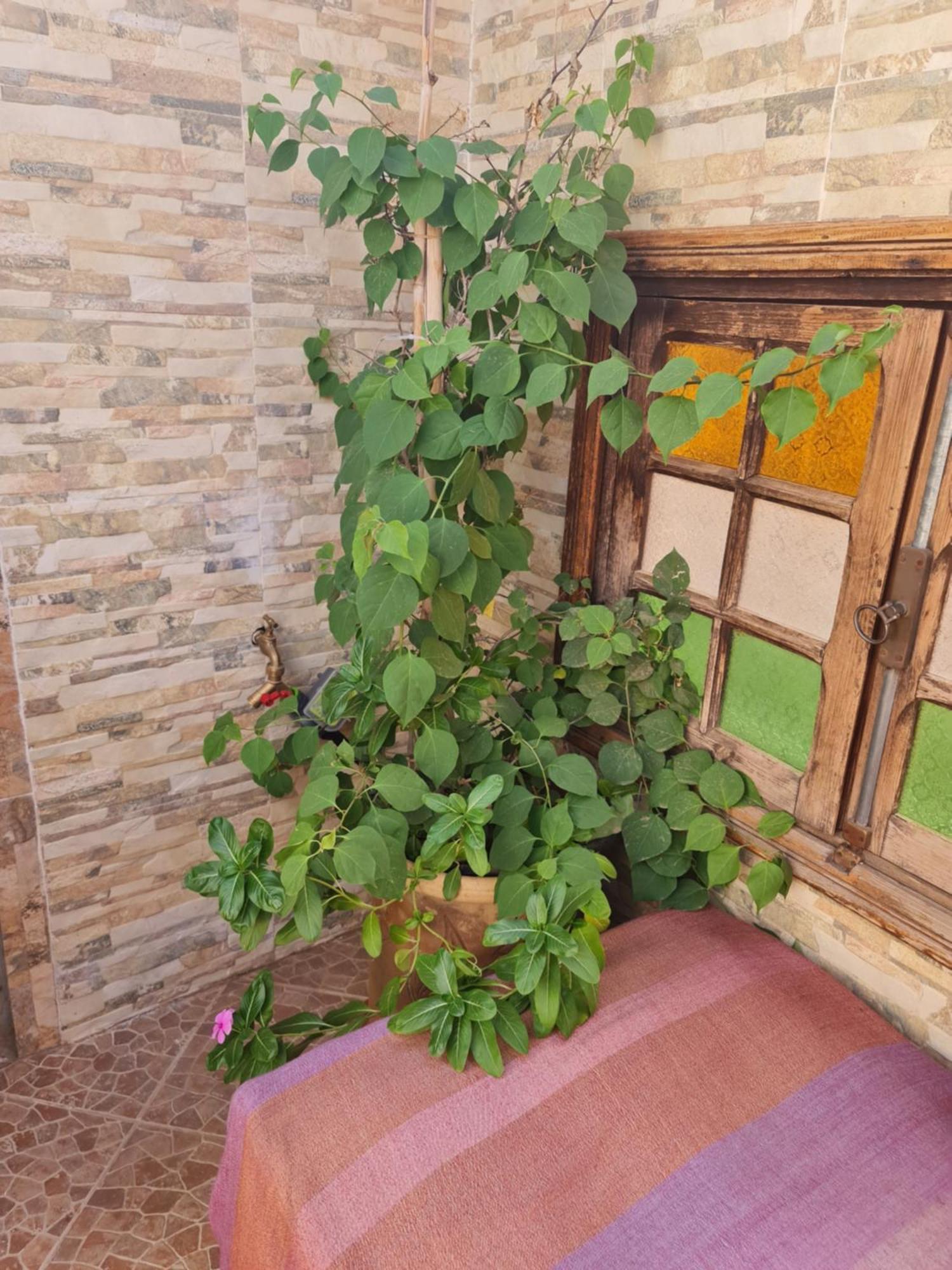 Riad Bab Almadina Marrakesh Eksteriør billede